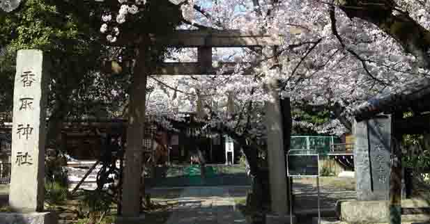 Shinkoiwa Katori Jinja Shrine