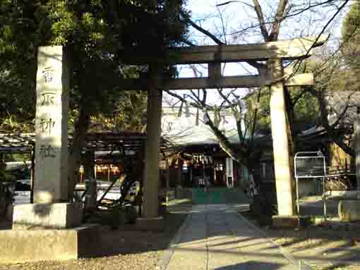 新小岩香取神社