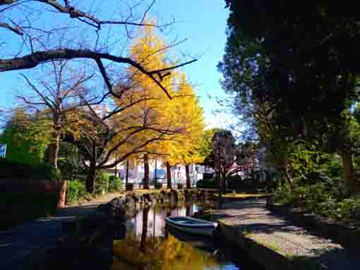 令和３年小松川境川親水公園秋の風景１９