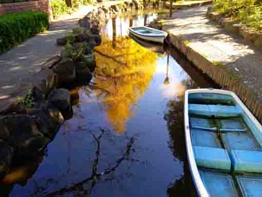 令和３年小松川境川親水公園秋の風景２０