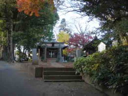 Konodai Tenmangu Shrine in fall