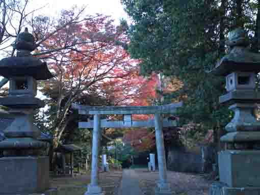 Konodai Tenmangu Shrine in fall