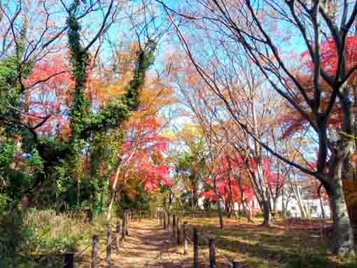 �ߘa�T�N�H���{��Βn�̍g�t�U