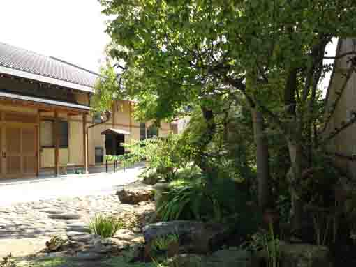 the garden in Korinji Temple