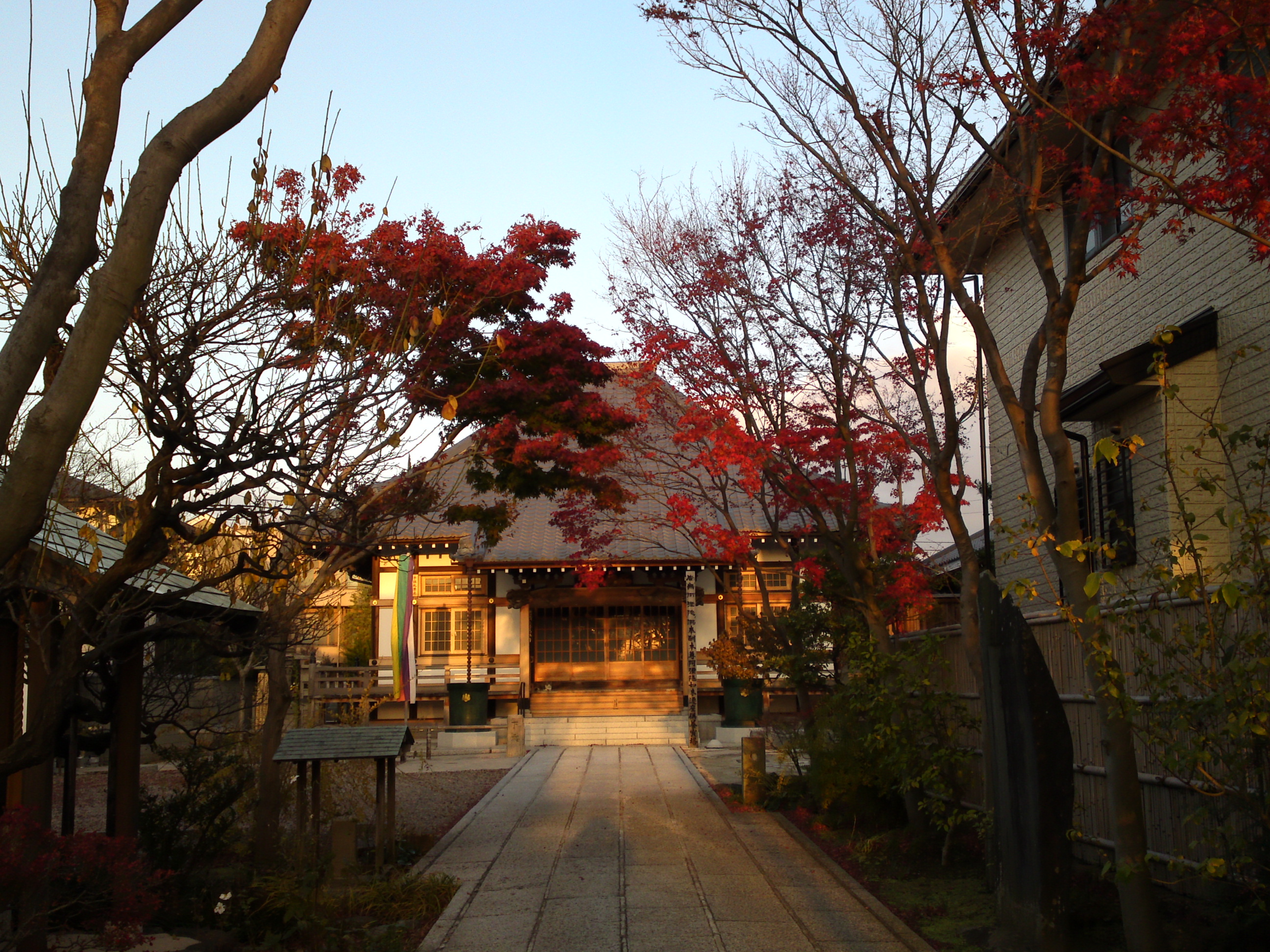 2016年晩秋の光林寺を彩る紅葉１