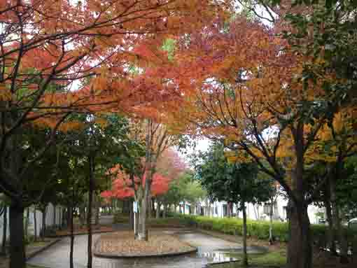 Kutsurogi no Ie Park