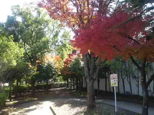 the approach road in Kutsuragi no Ie Park