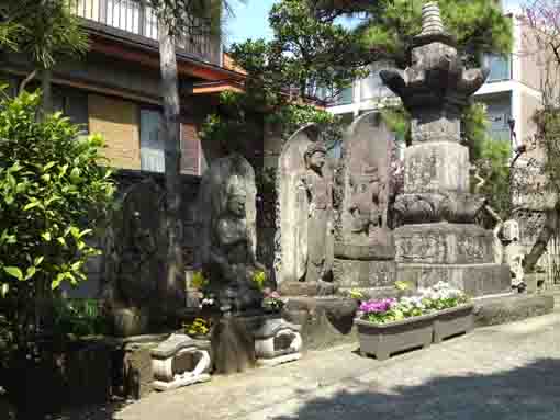 shokakusan jojuin kyoshinji temple