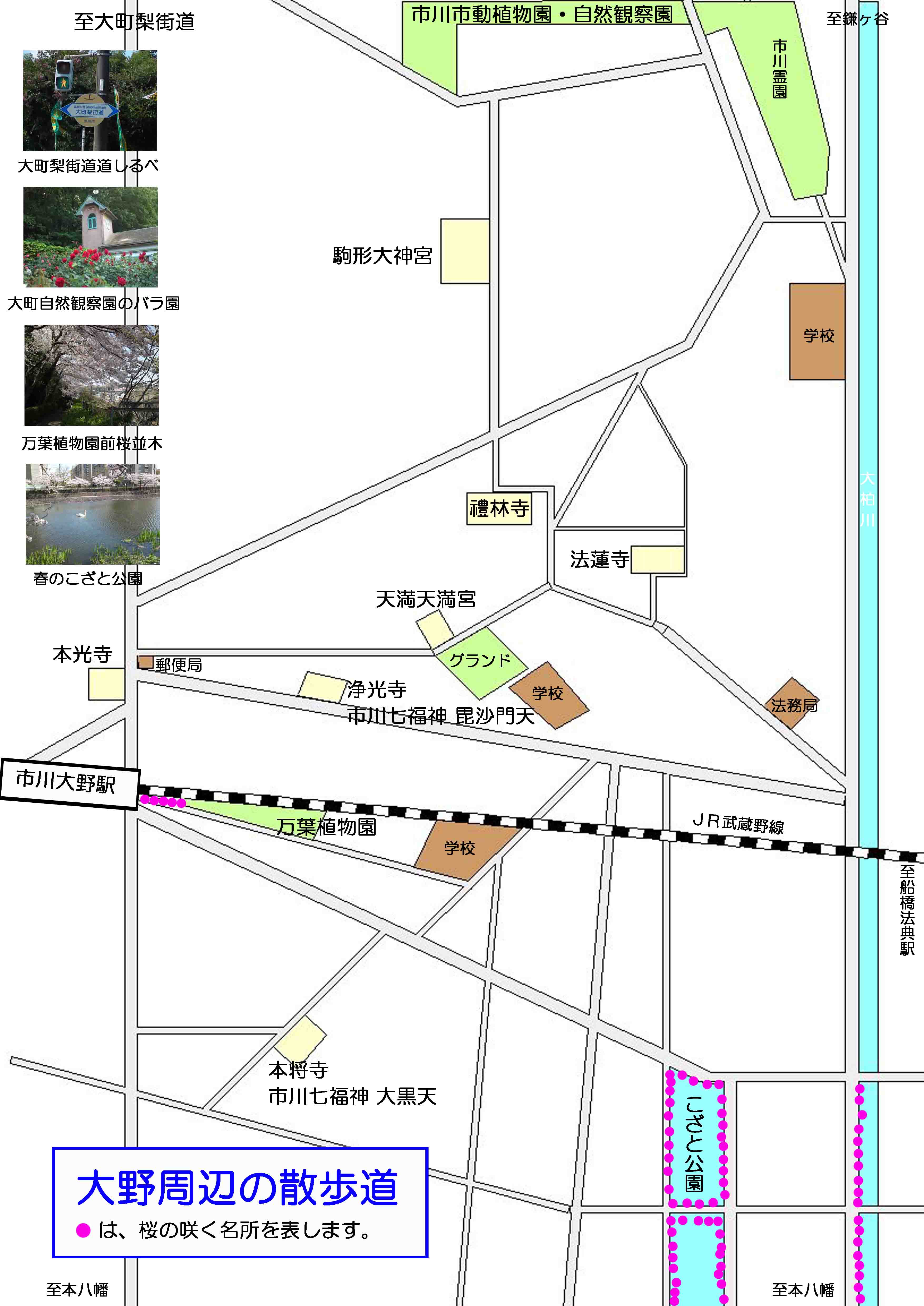 大町自然観察園周辺の案内図