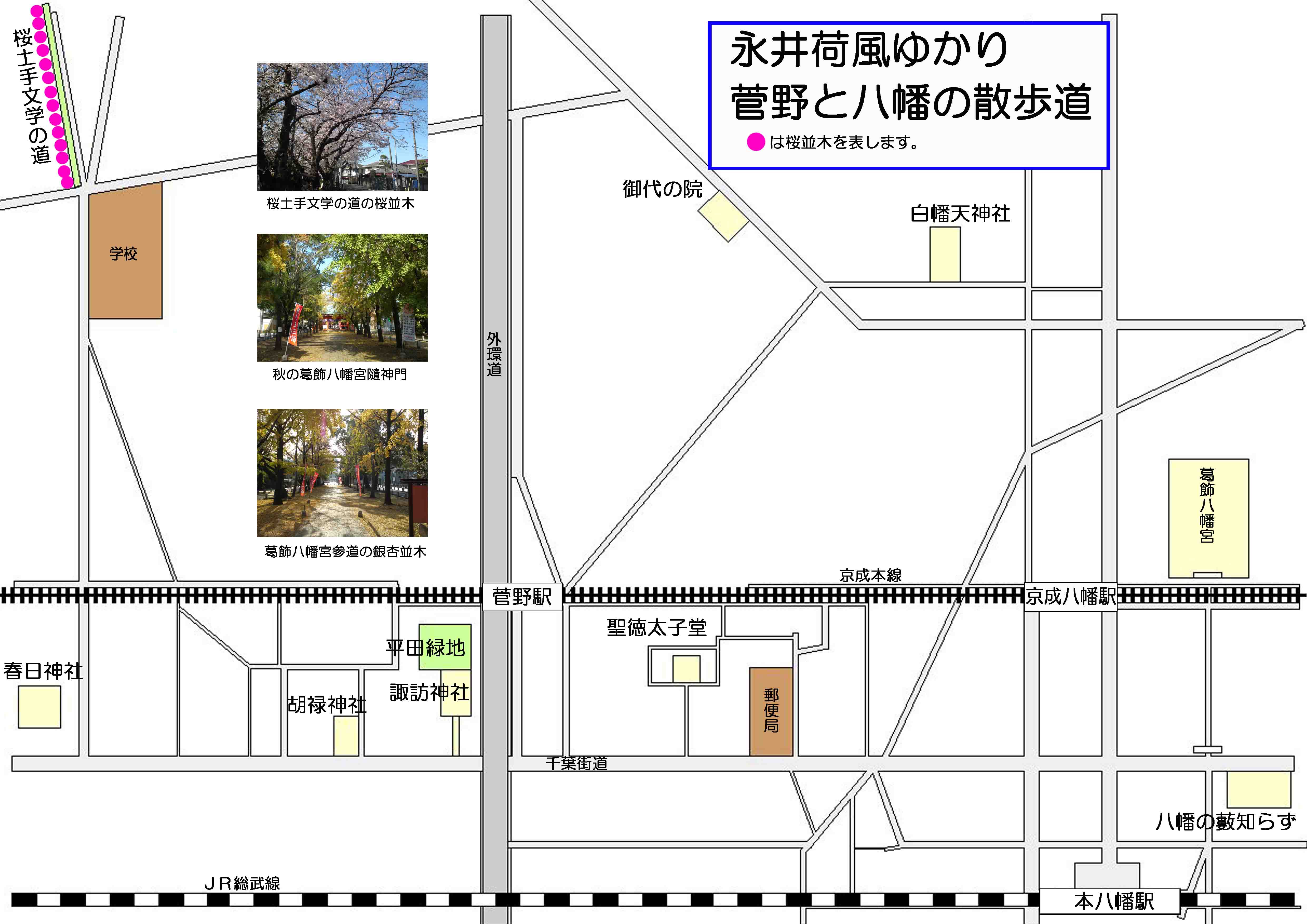 知らず 藪 一度入ったら戻れない！？ 水戸黄門が足を踏み入れた逸話も