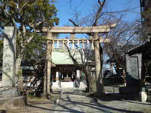 the torii gate at Shinkoiwa Katori Jinja