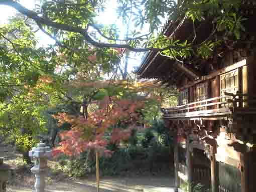 真間山弘法寺の秋の風景