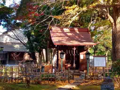 真間山弘法寺里見竜神堂と落ち葉の絨毯