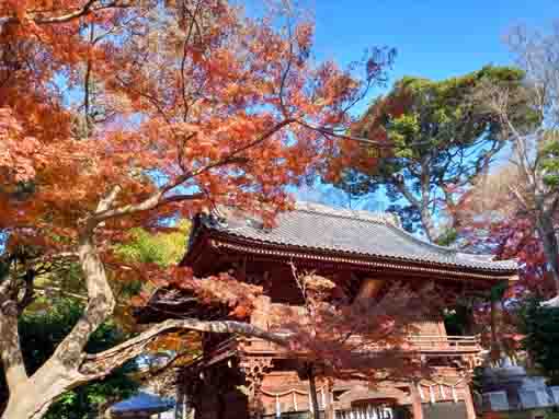 �ߘa�T�N�H�^�ԎR�O�@���̍g�t�P�O