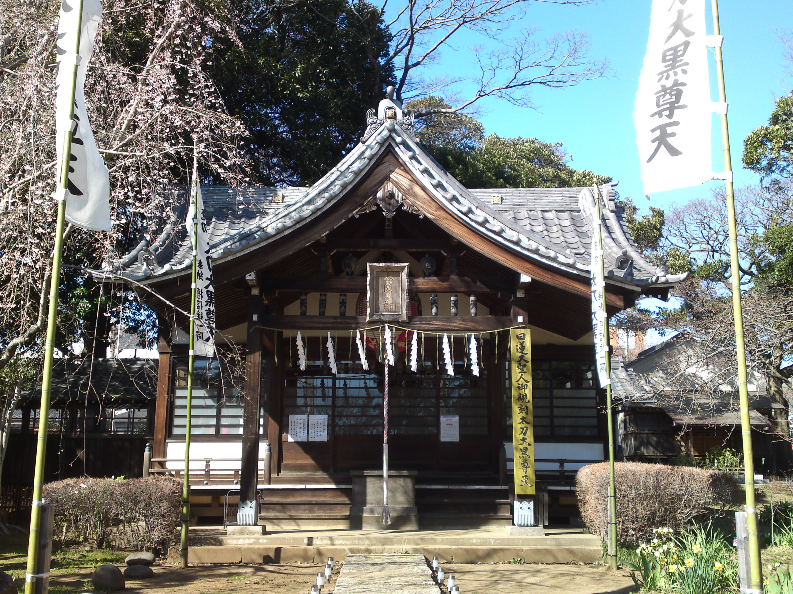 2015年三分咲きの宇賀神桜の写真２