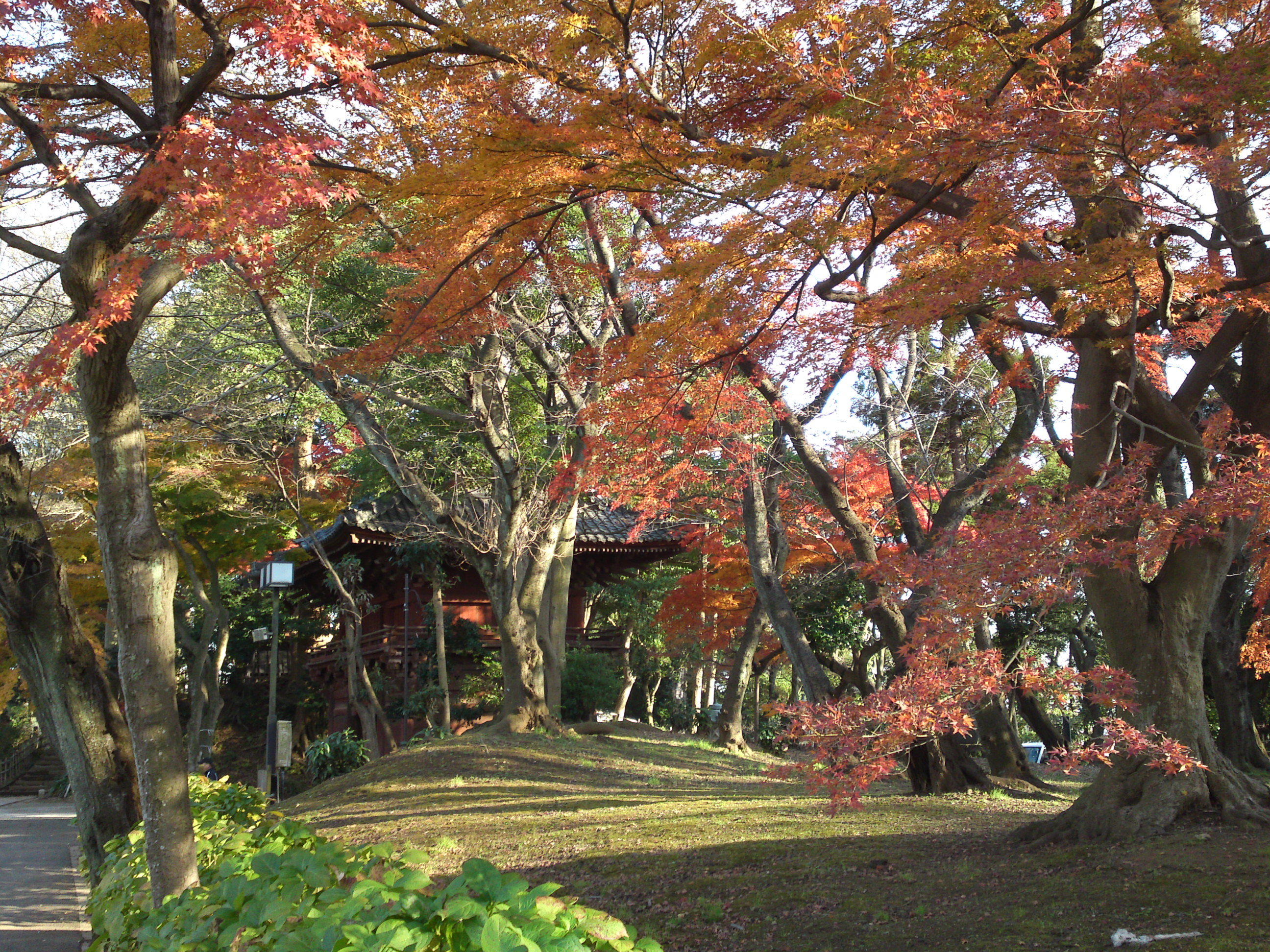 2015年秋真間山仁王門と紅葉写真１