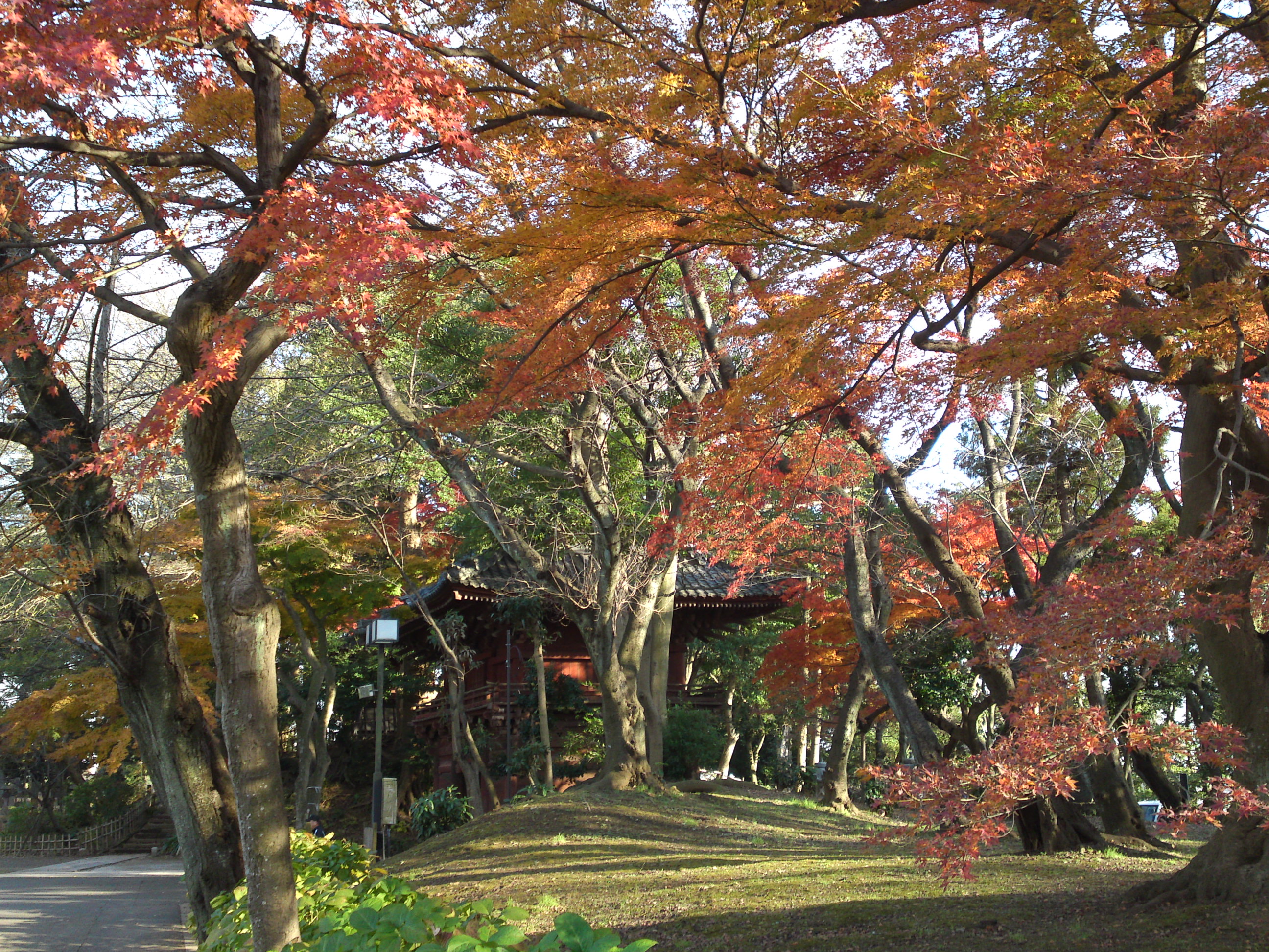 2015年秋真間山仁王門と紅葉写真２