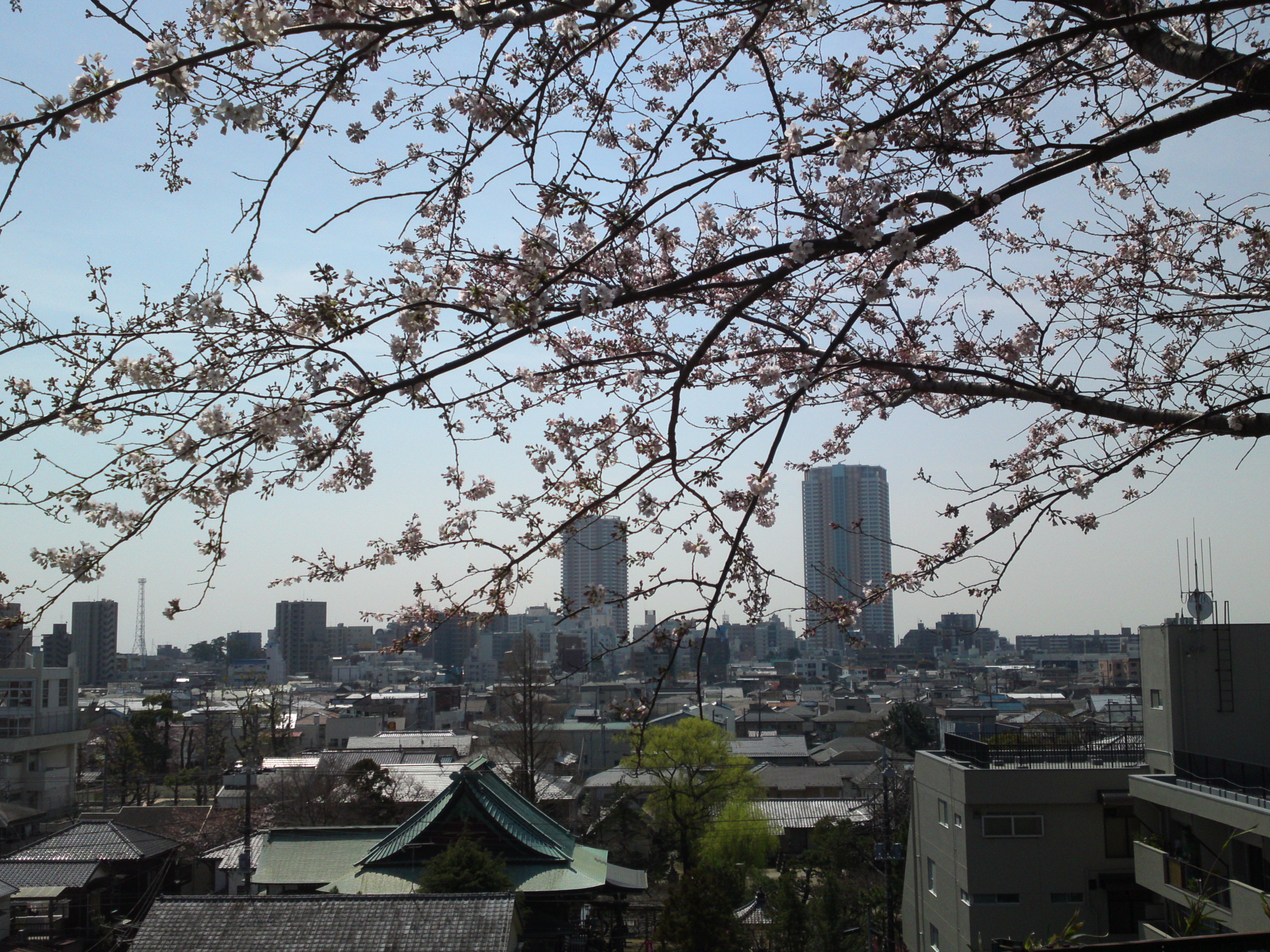 2016年真間山弘法寺からの春の眺望写真１