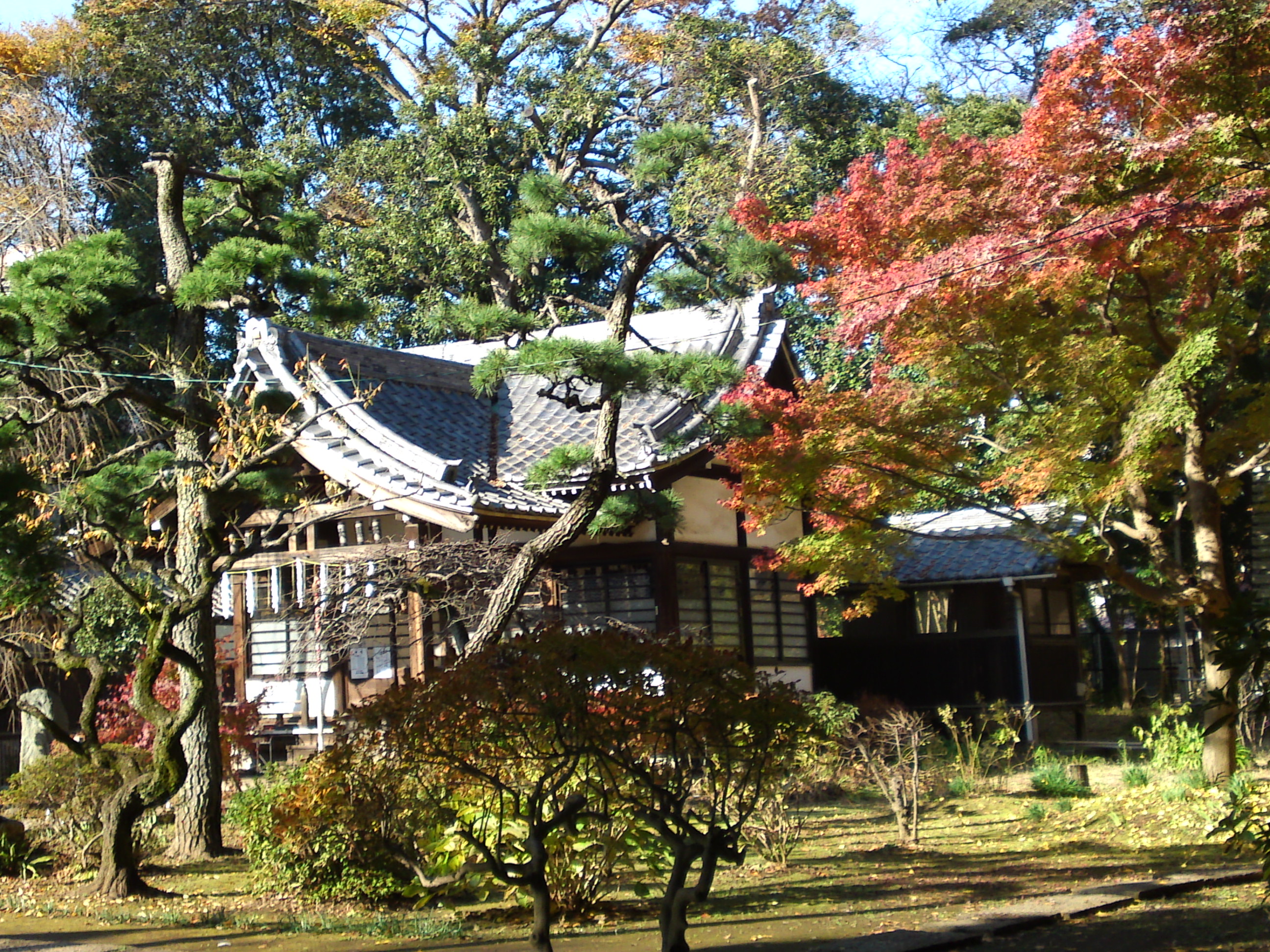 2016年秋真間山太刀大黒天堂と紅葉1