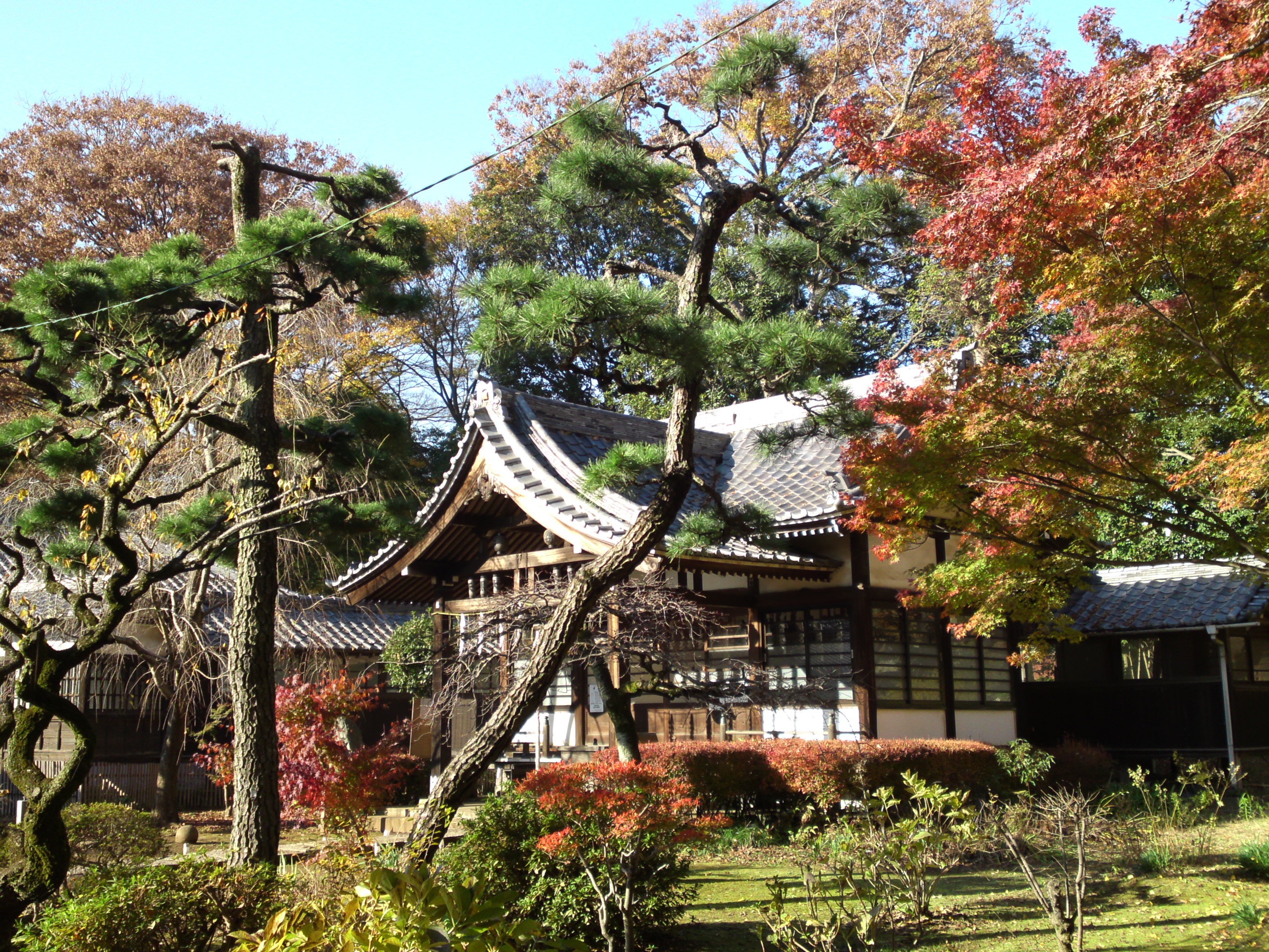 2016年秋真間山太刀大黒天堂と紅葉5