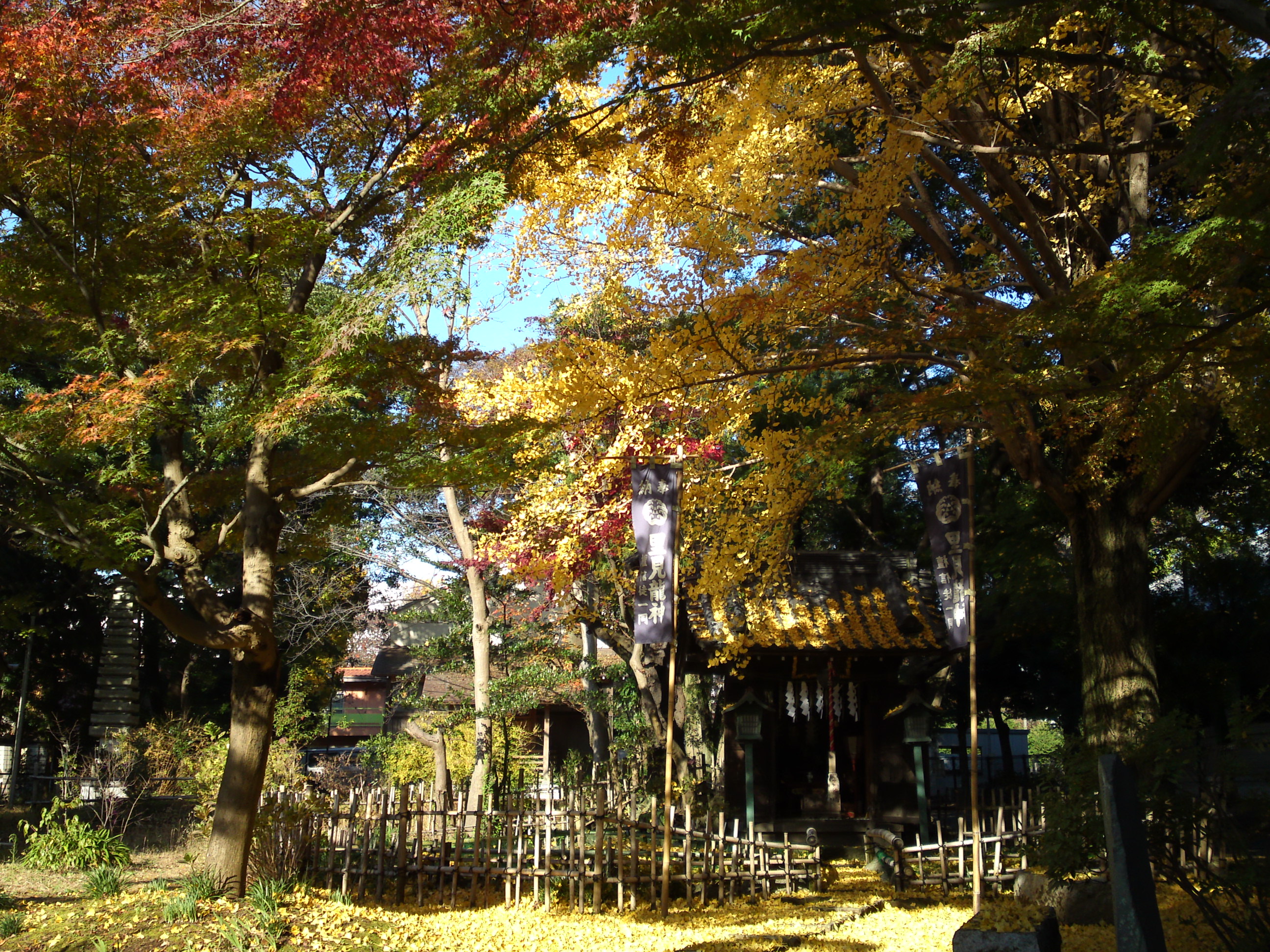 紅葉に彩られた真間山弘法寺