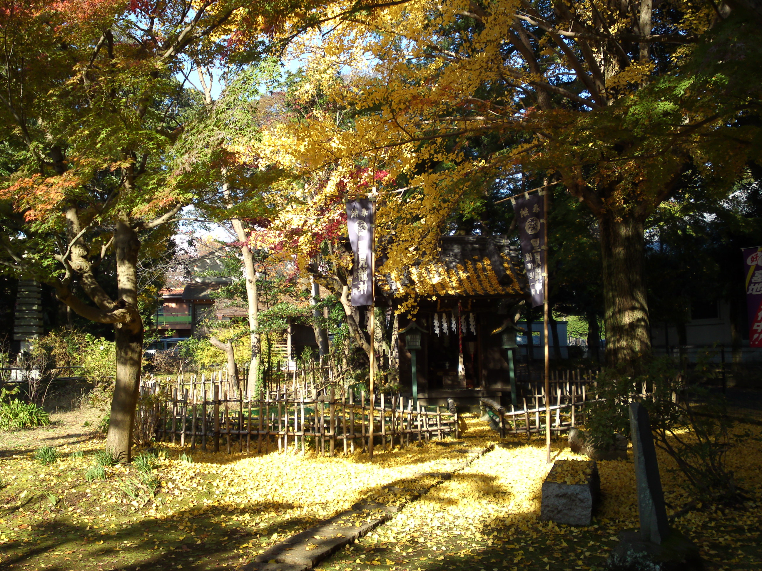 2016年秋真間山里見龍神堂の紅葉4