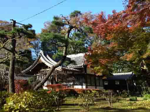 a popular viewing colored leaves spot