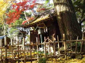 the colored leaves in Guhoji Temple