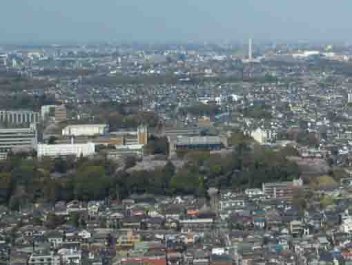 the whole view of Mamasan Guhoji Temple