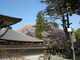 Mamasan Guhoji Temple