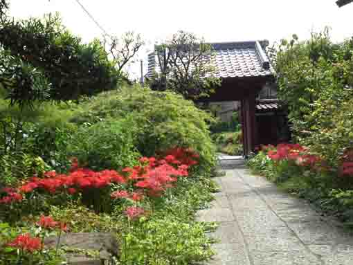 the red gate in Gokokusan Ansein