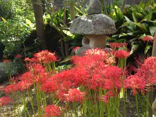 Iouan Myouonji Temple in Ichinoe