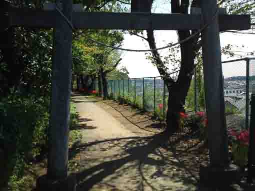 the stone gate and the spider lilies