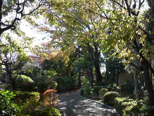 the path in the garden in fall