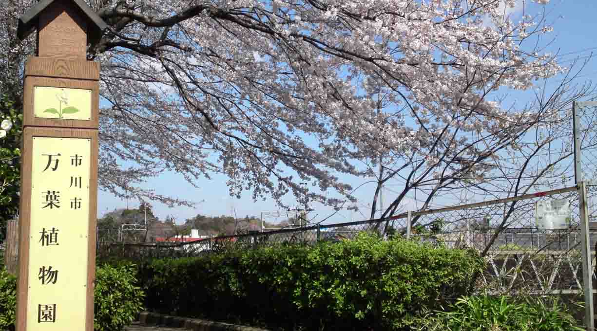 Manyo Botanical Garden