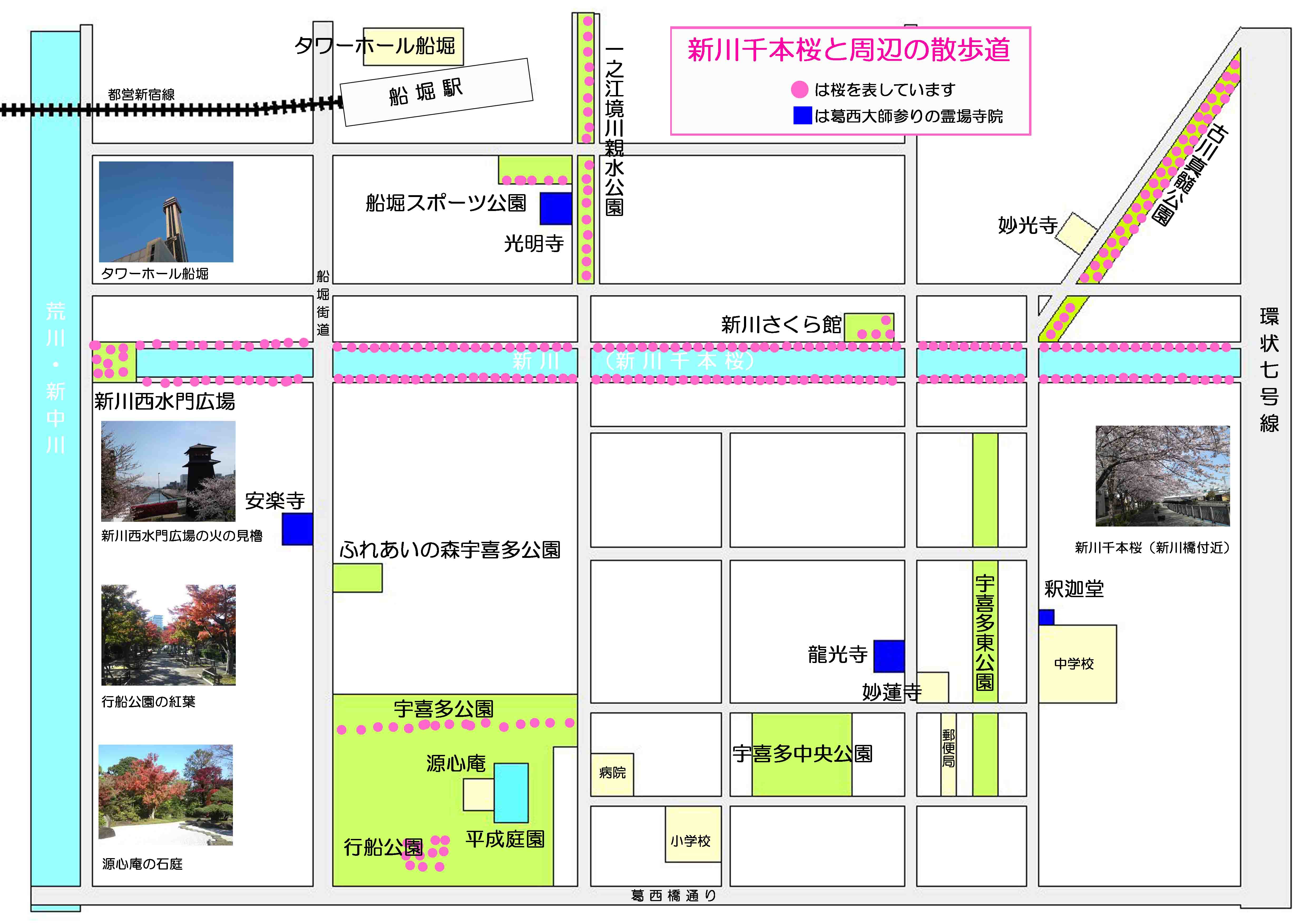 新川（新川千本桜）周辺の案内図