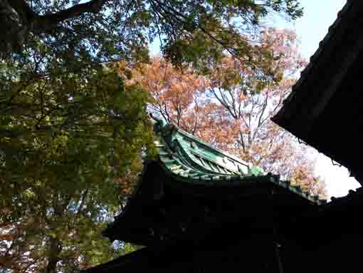 the roof of the main hall of Tenso Jinja