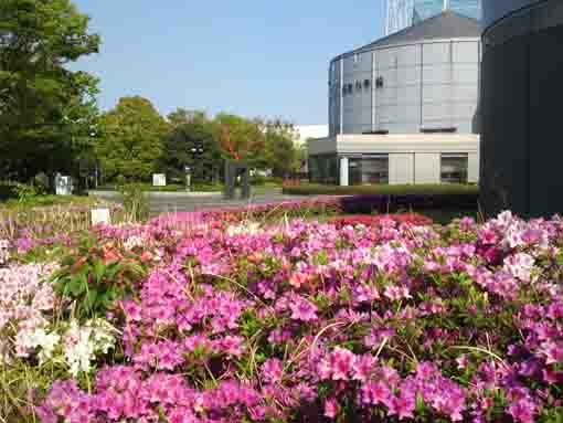 ツツジの花越しの県立産業科学館