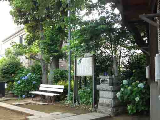 the garden of Miyonoin Shrine