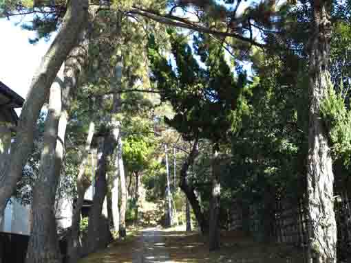 Moro Jinja in Funabashi