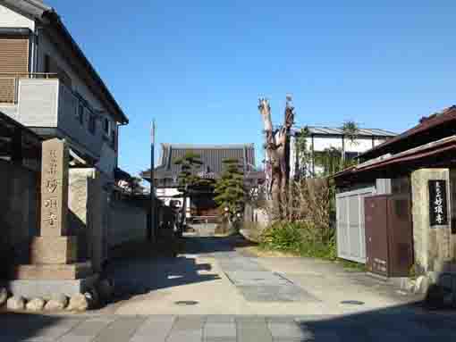 Myochoji Temple