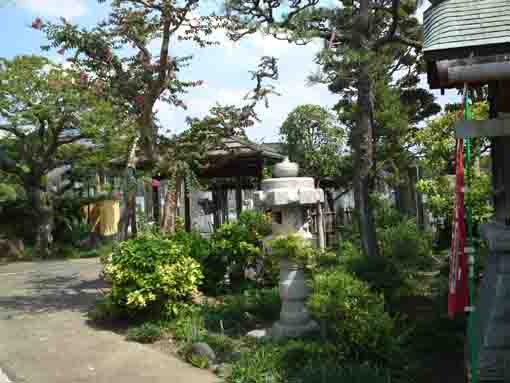 the garden in Myokakuji Temple