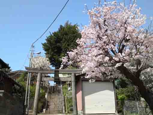 the second trorii of Myoken Jinja