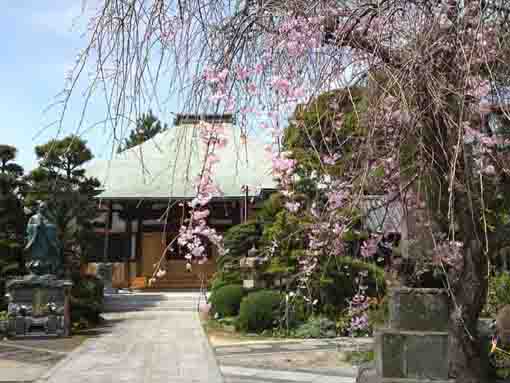 the statue of Nichiren in Myokoji