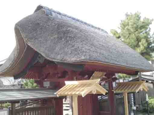 the thatched roof of Sanmon Gate