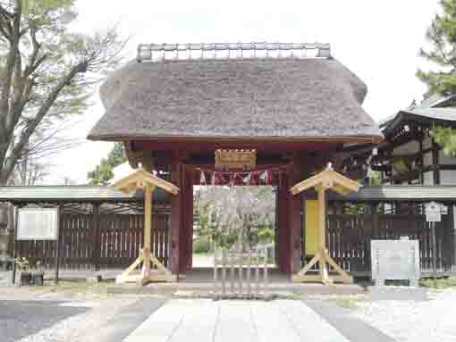 the gate in Myokoji Temple