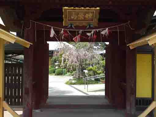 the main hall viewing through the gate