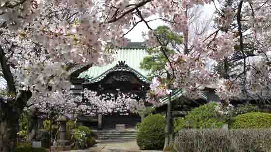 Honkakusan Myoshoji Temple