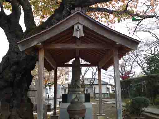 Mizuko Jizo in Myoshoji Temple