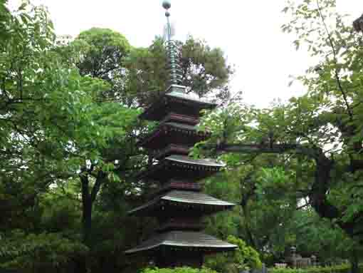 the five-story pagoda in Myoshoji Temple